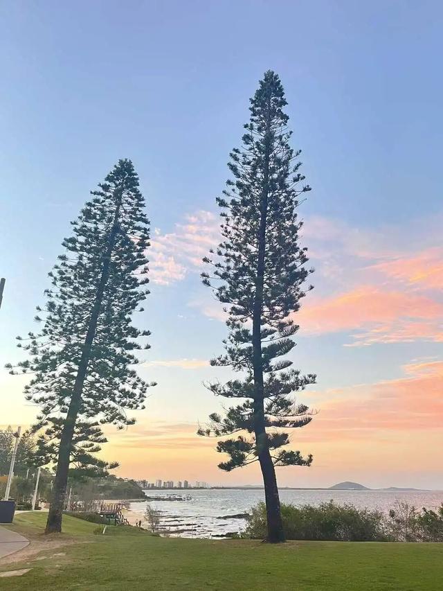 路上·布里斯班 ‖ 又出来赚小时来了