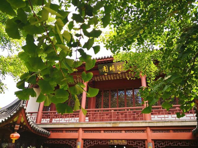 上海值得去的6个公园推荐！全部免费，好看又好玩！你都去过几个