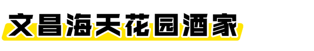 海口经济圈 | 文昌宠粉福利来袭→