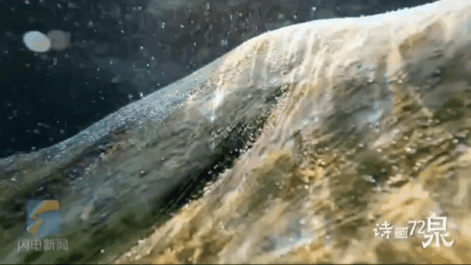 被济南泉水下的世界惊艳到了！