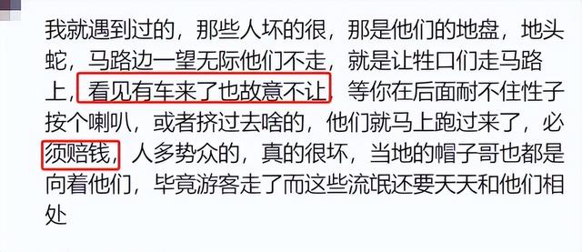 摩旅青海被牧民打头后续！7峰骆驼丢失，当地人发声 骑手有错在先