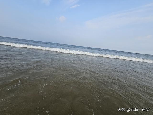 大海的世界，有童话有嬉戏，有欢笑有乐趣，有津津乐道、海阔天空