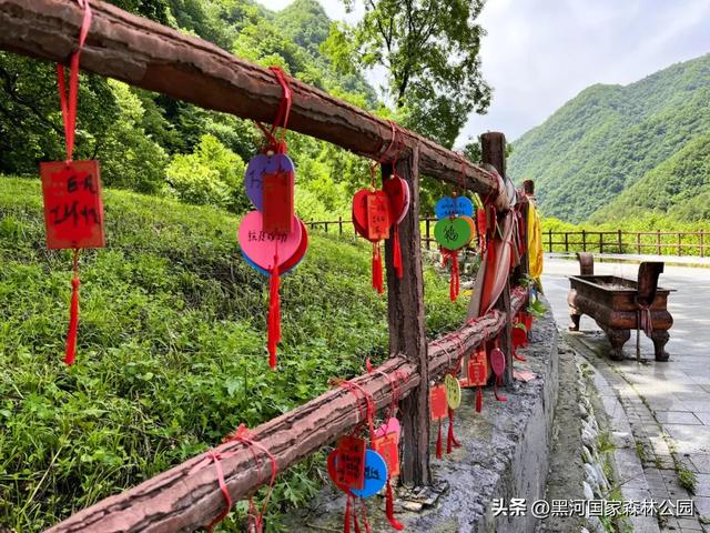 周末避暑好去处|走进绿意森呼吸,邂逅山间清凉