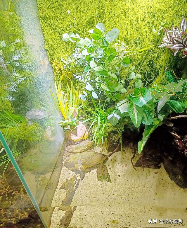 五九时节，观扬州大运河博物馆（下）