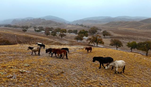 【漠南风】摄影专辑｜行走达茂 定格风光掠影