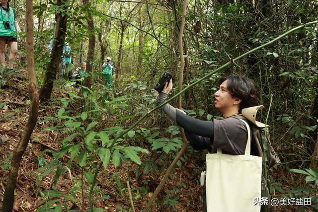 与城共栖 | 在盐田，这样度过全国生态日