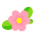 秋日限定！康巴什“花海”翻涌