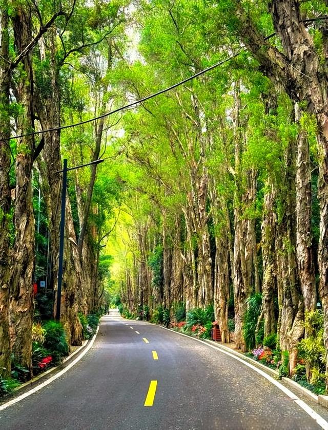 福州公园图鉴｜这10个地方，装下了整座城的“呼吸”