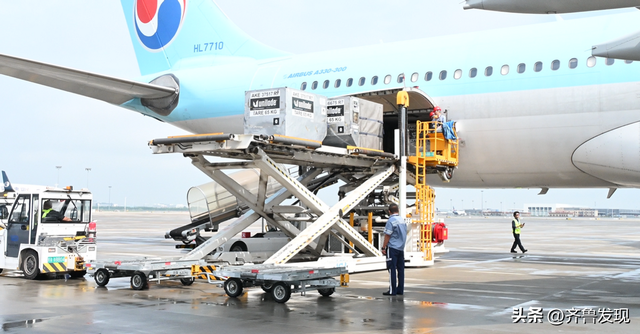 青岛机场持续加密中日空中货运通道