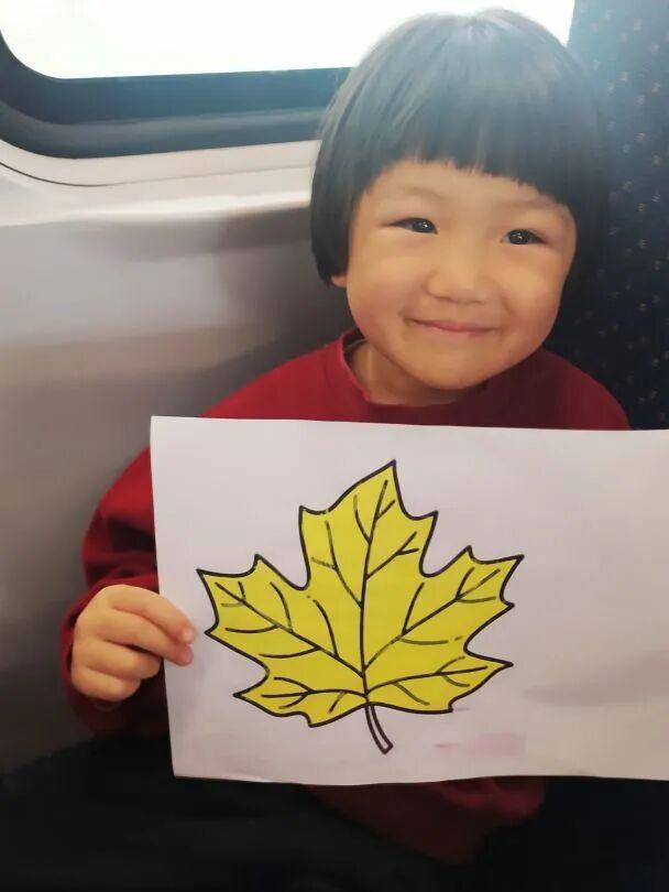 坐高铁到这里赏红叶，享景区优惠！