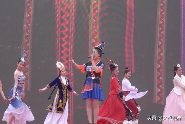 每日一村：茶岗村——茶香畲韵交融，山海间的文旅活力地