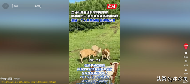 游客徒步遭牛群踩踏后续：景区回应，真相曝光后，网友直呼太活该