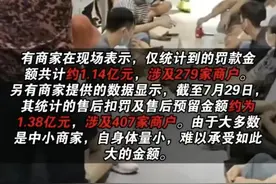 罚款1.14亿！拼多多摊上大事，广州总部被围堵！大批商家坐地维权图片