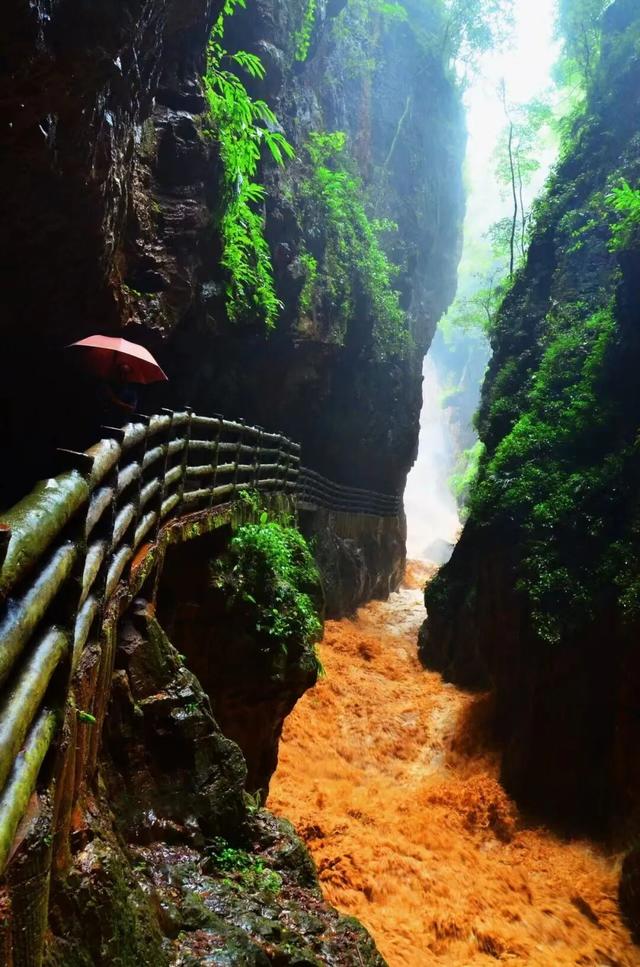 昆明多家知名景区，对他们免门票！