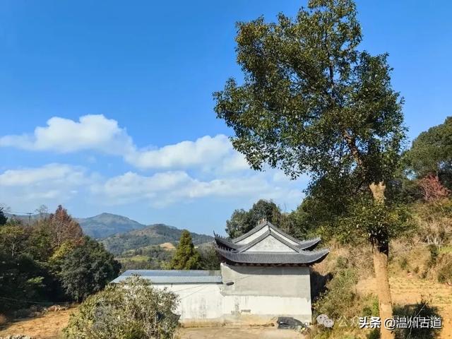 温州这两条知名红枫古道已经红啦！周末是最佳观赏期，不要错过！