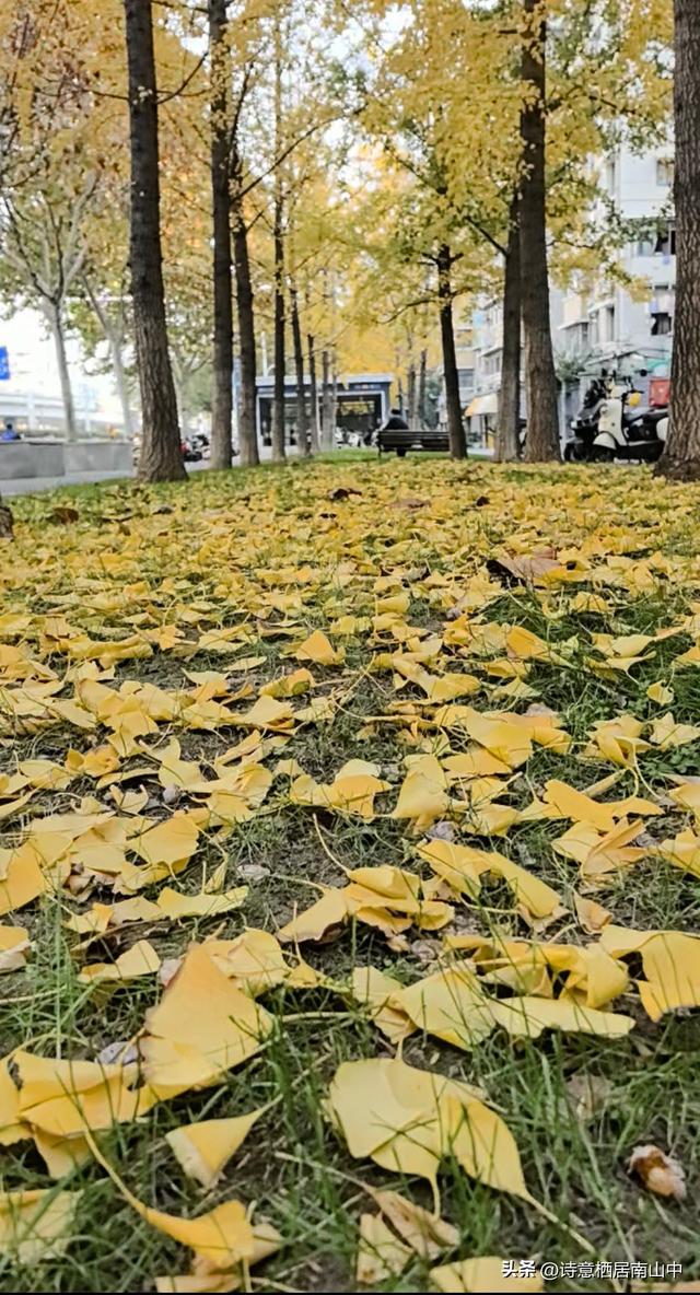 骑行听书：让快乐加倍，让风与墨香撞个满怀