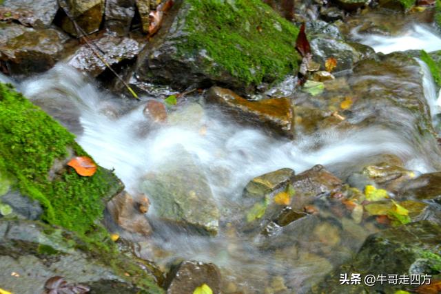 河北百草畔（上）：风动孤石悬险韵，蚁巡深岭蕴生机