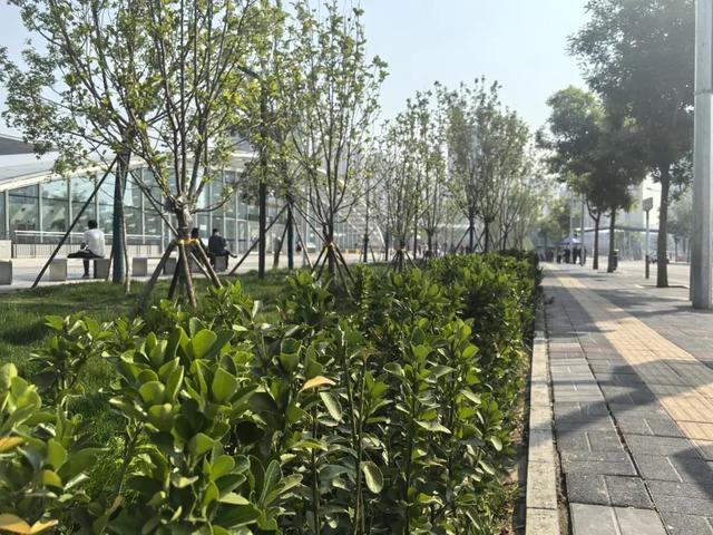 护栏 “减法”，颜值 “加法”，就在——