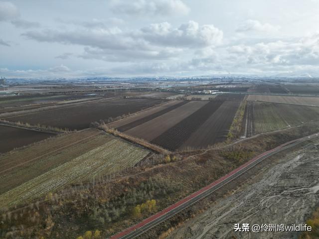 新疆昌吉头屯河公园