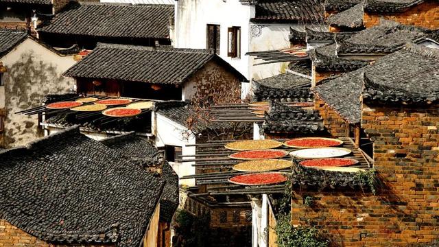 婺源篁岭：这个秋天，去篁岭去拍“晒秋”吧
