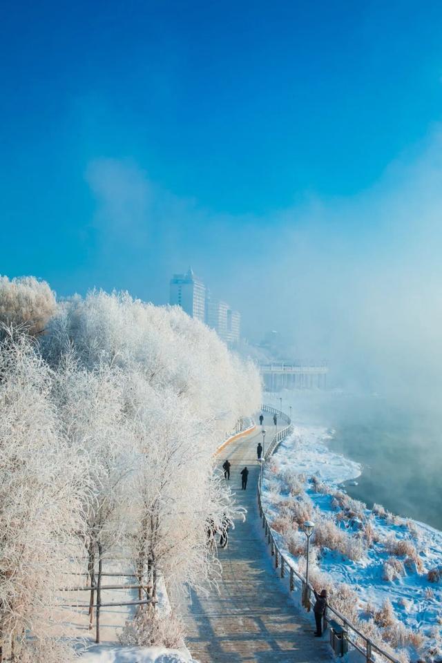 俄罗斯萌娃都来了！你还等啥呢？