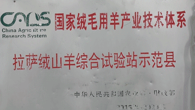世界美景的尽头！措勤：高原之巅，绝美大湖