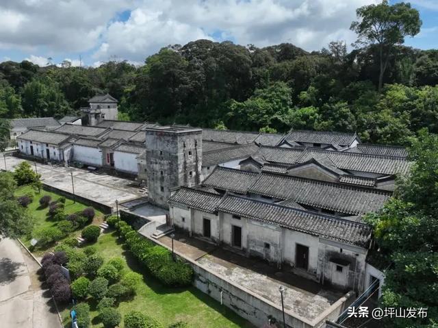 骑遇坪山① | 宝藏“高颜值”骑行线,拍出森系大片刷爆朋友圈