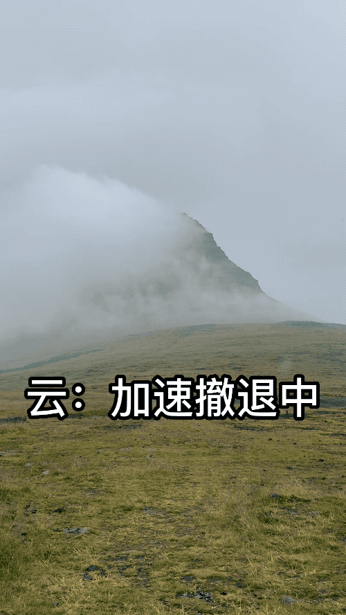 带全公司在冰岛玩10天有多爽？同事：人就不应该上班！