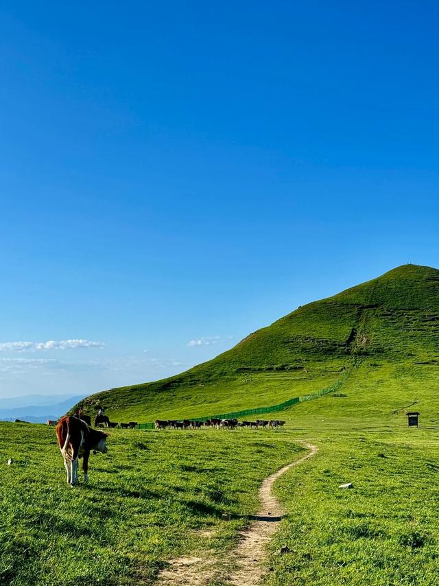 世界上只有北京才有的十大奇景！