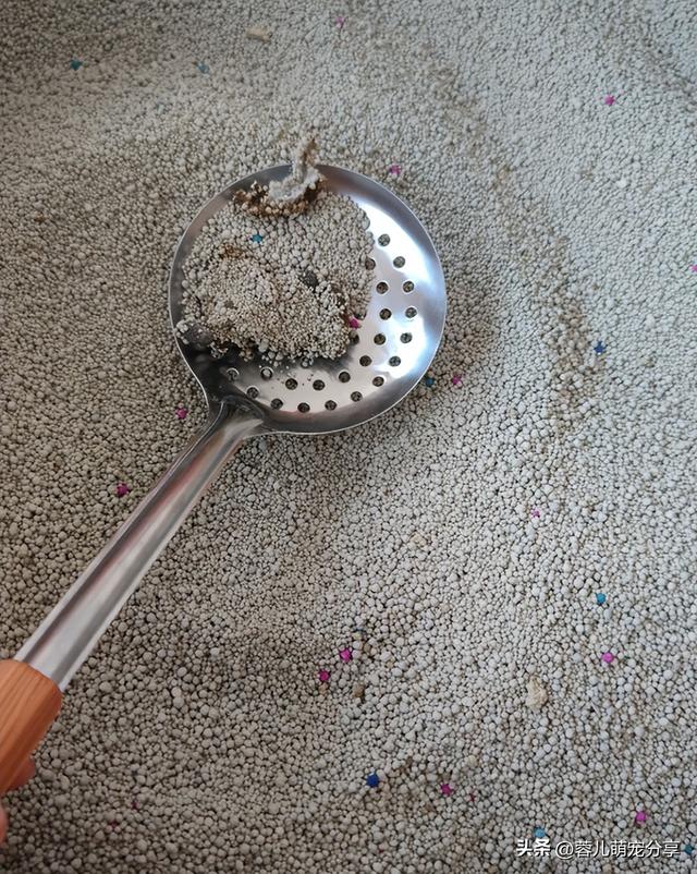 妹子去买饺子，突然发现铲饺子的铲子很眼熟，养猫人看了都沉默了