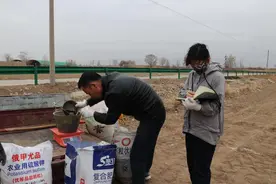 绿色施肥绘丰年——凉州区2024年绿色种养农业循环试点项目科学施肥见闻图片