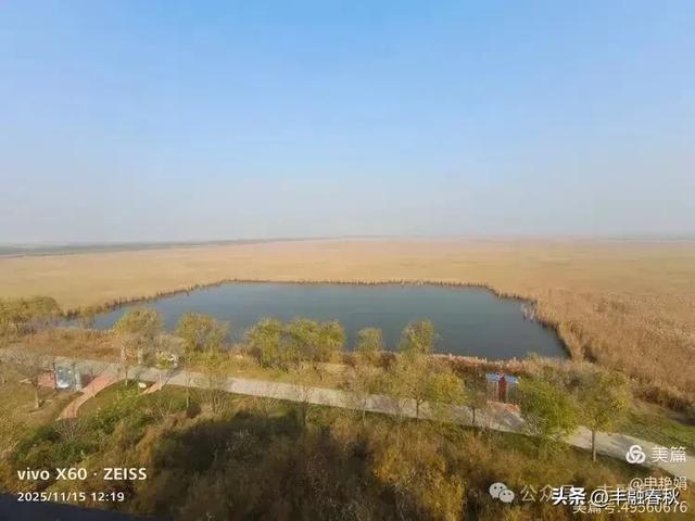苇风载秋,鹤影映波——河北黄骅南大港湿地的初冬漫游| 申艳娟