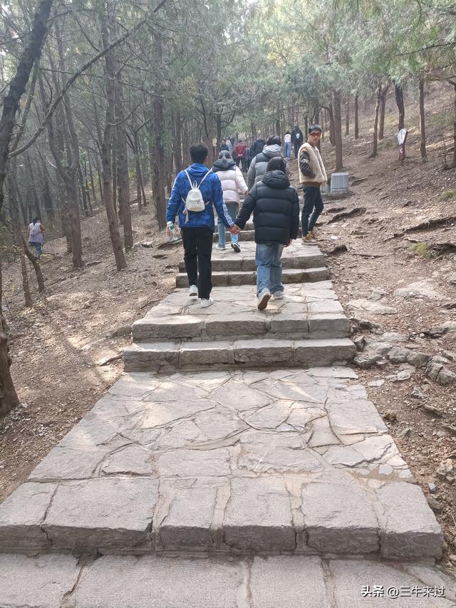 无为在歧路，漫游青州城