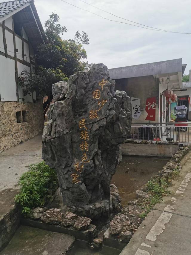 贵阳修文：古杏“红土”有“大木”