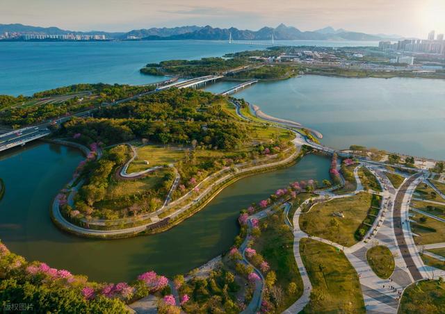 深圳冷知识：不止“速度”，这城藏着太多惊喜