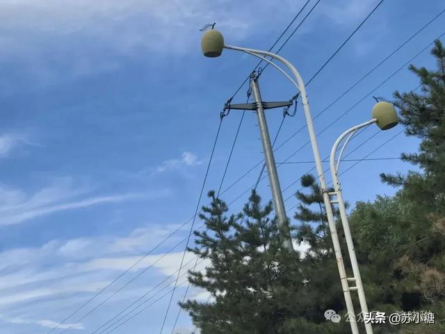 【山西游】隰县小西天，因黑神话悟空遇见悬塑的终极之美