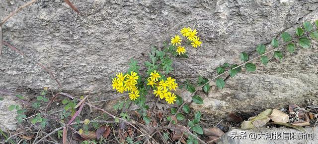 我和大梯子崖有个约定