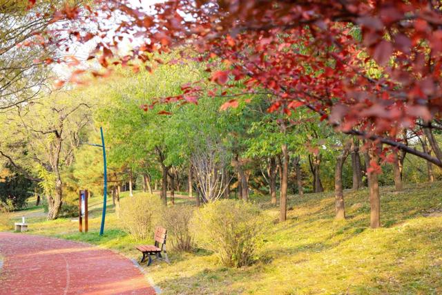 藏不住的惊艳！这座公园正处颜值巅峰