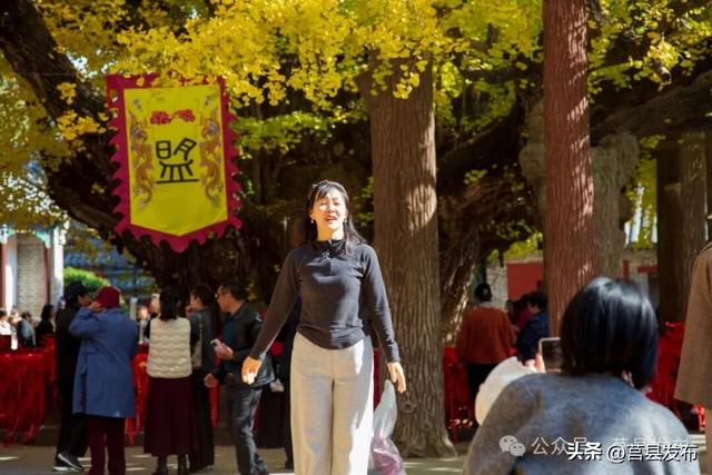 今天实拍！浮来山银杏，一树鎏金映古寺