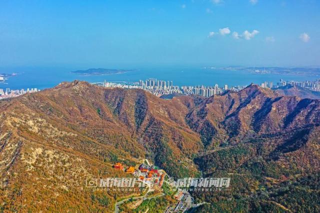 拾一片红叶，藏一季秋光，共赏威海秋日限定美景