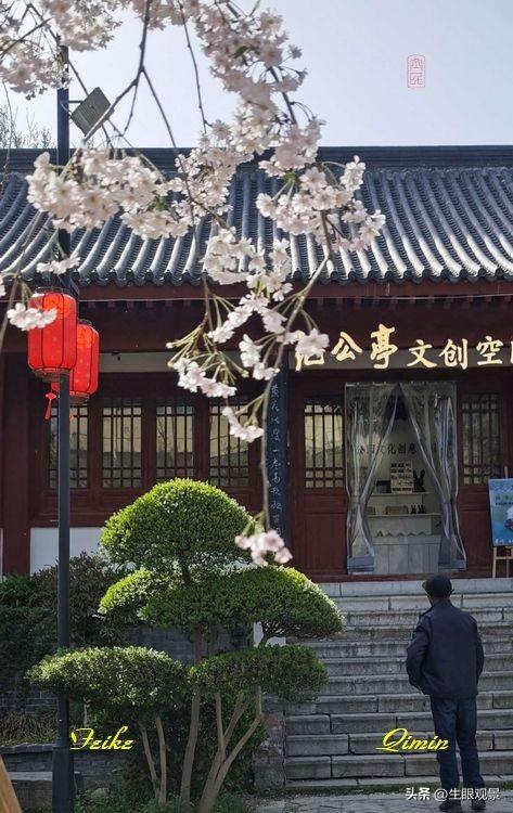 影记 | 春色春景之青州范公亭(上)