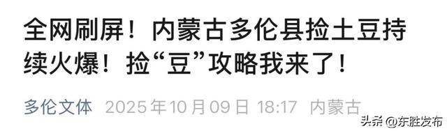 内蒙古土豆，“捡”的咋比买的还香？