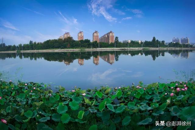丰县大沙河上的绿色诗篇
