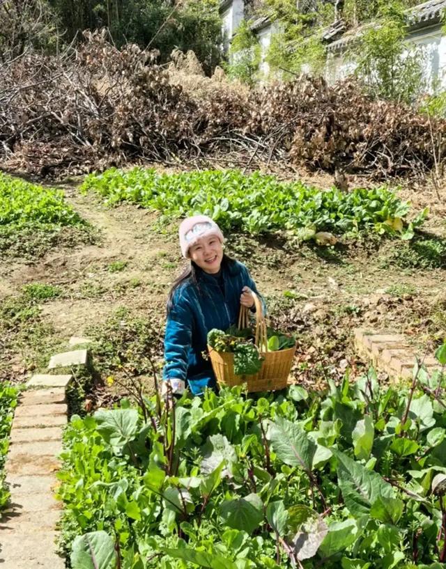 50岁龚琳娜独居深山，房子后面是一片坟地，离婚后养猫为伴不害怕