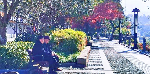 视觉画册｜醉美畲乡景宁：一季枫红燃情似火，半河光影温润如诗