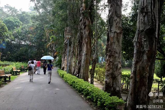 宝岛台湾:士林官邸公园