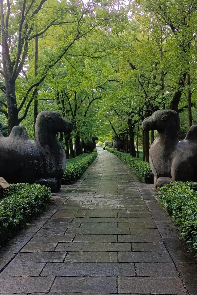 南京旅游攻略，带你领略历史与文化的碰撞