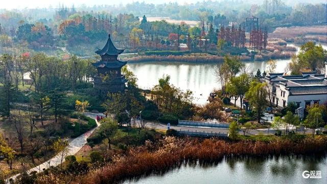 【绿色打卡地】初冬自然调色板！唐岛湾湿地尽显生态之美