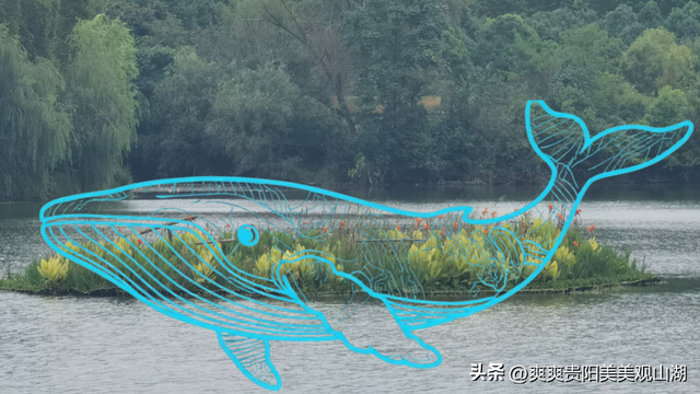 “生米”集合！今天起 来观山湖区生态文明展览馆 写祝福 抽周边~