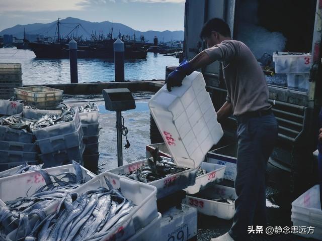 河南人去了青岛和日照，直言不讳：青岛人和日照人气质截然不同！